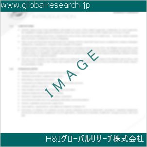 グローバルリサーチ調査資料のイメージ